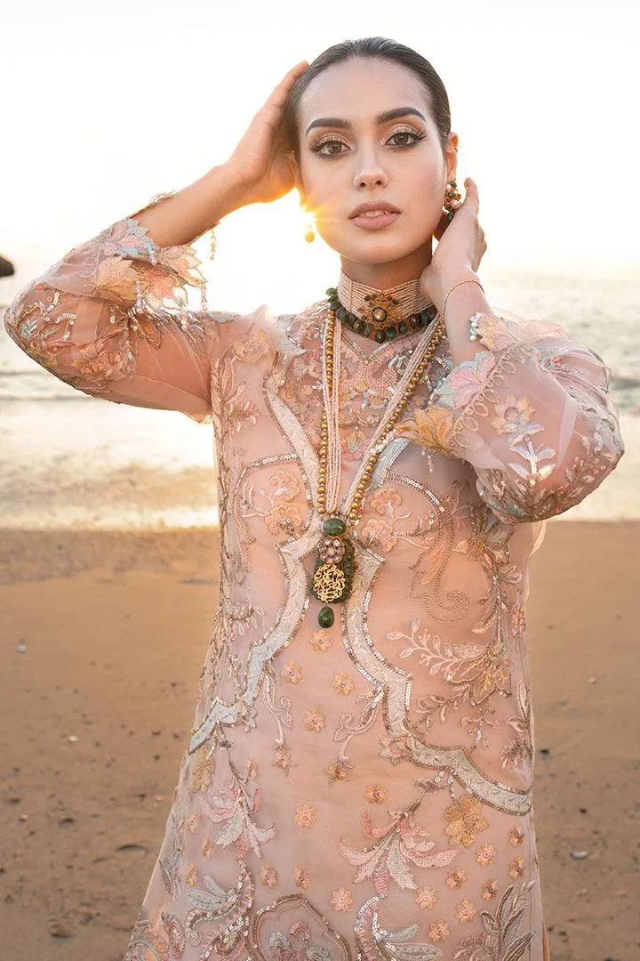 Seashell